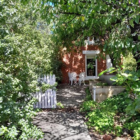 Annies Garden Cottage Hobart Zewnętrze zdjęcie